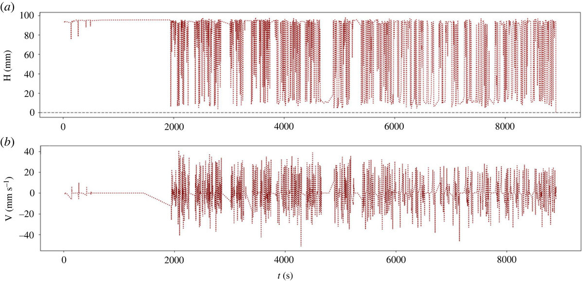   Luiz Pereira et al. / Royal Society Open Science, 2023