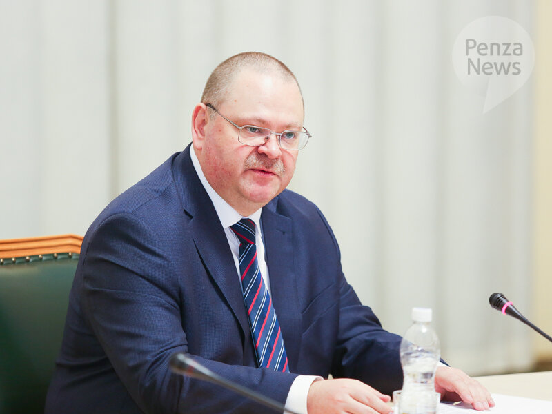    © Фото из архива ИА «PenzaNews»
