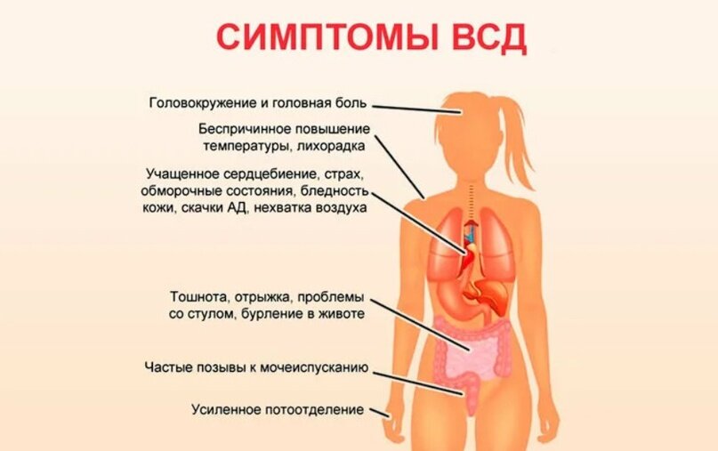 Симптомы озноб без температуры. ВСД. ВСД симптоматика. ВСТД это. Симптомы сосудистой дистонии.
