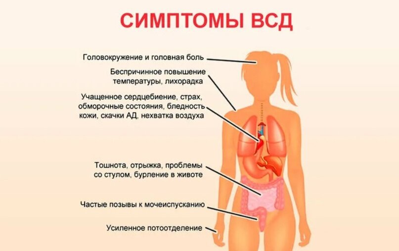 Может ли быть без температуры. ВЧД симптомы. ВСД симптоматика. Симптомы при ВСД. Симптомы вегетативно сосудистой дистонии.