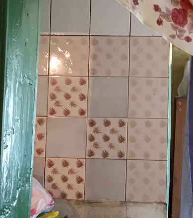 фото автора( до побелки)