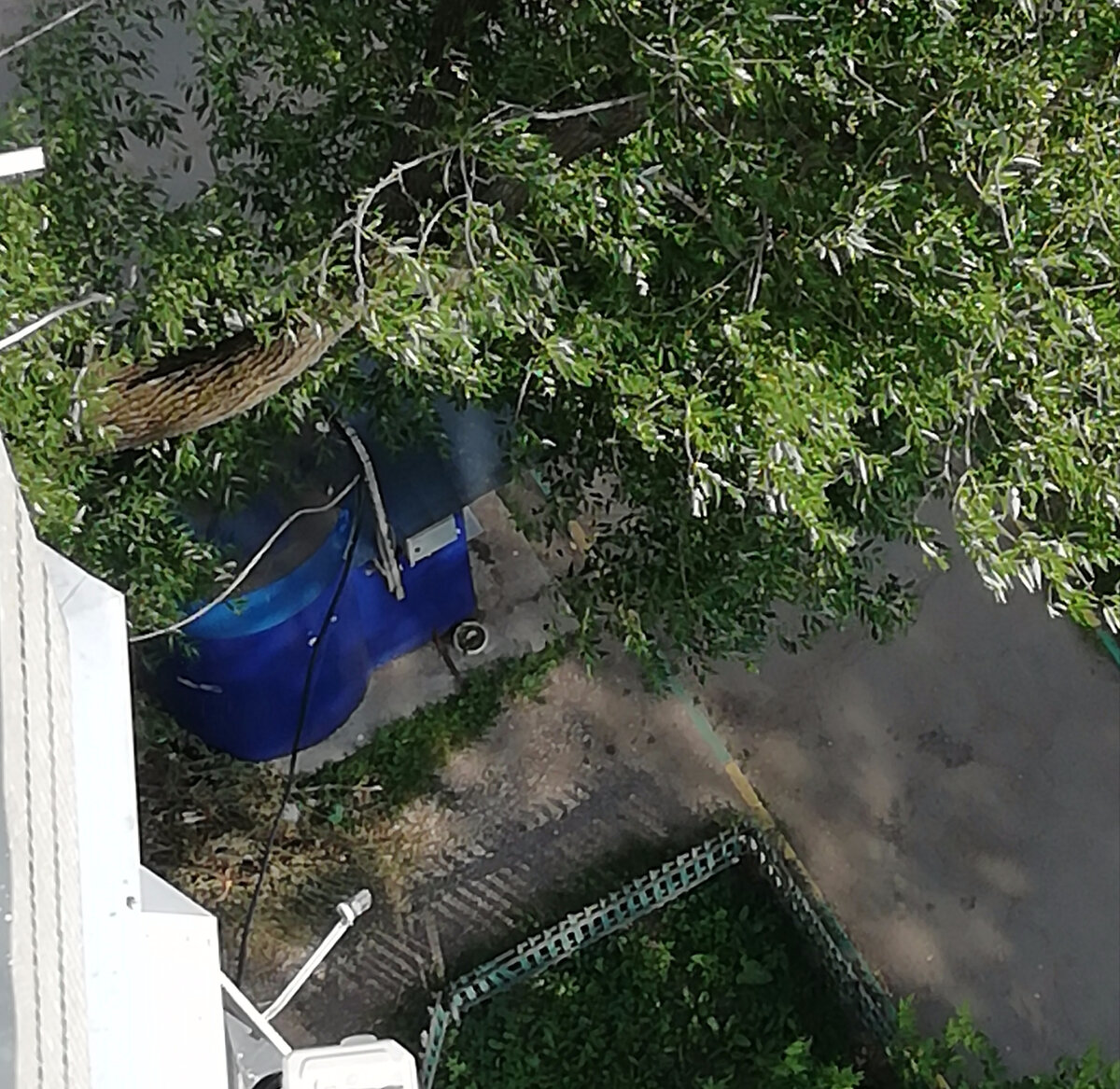 "А из нашего окна..." Фото из личного архива автора канала 