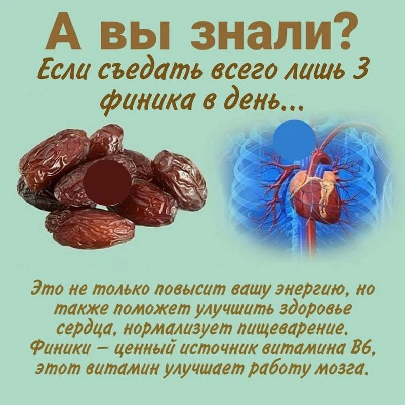 Что будет если есть финики каждый день. А вы знали интересные факты о здоровье. Что полезно в финиках. Финики полезные. Чем полезны финики.
