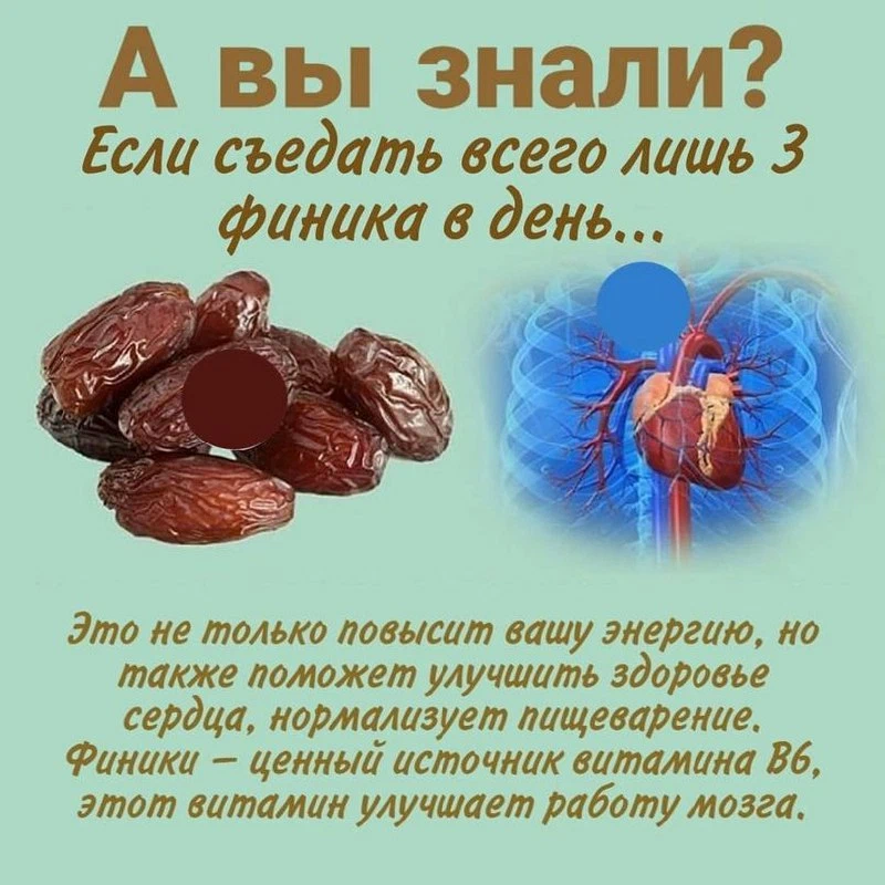 Чем полезны сушеные финики?