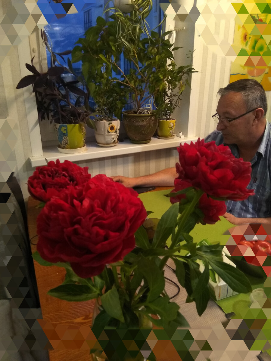 И через 10 минут у меня в руках пять свежих, насыщенно бордовых пионов!