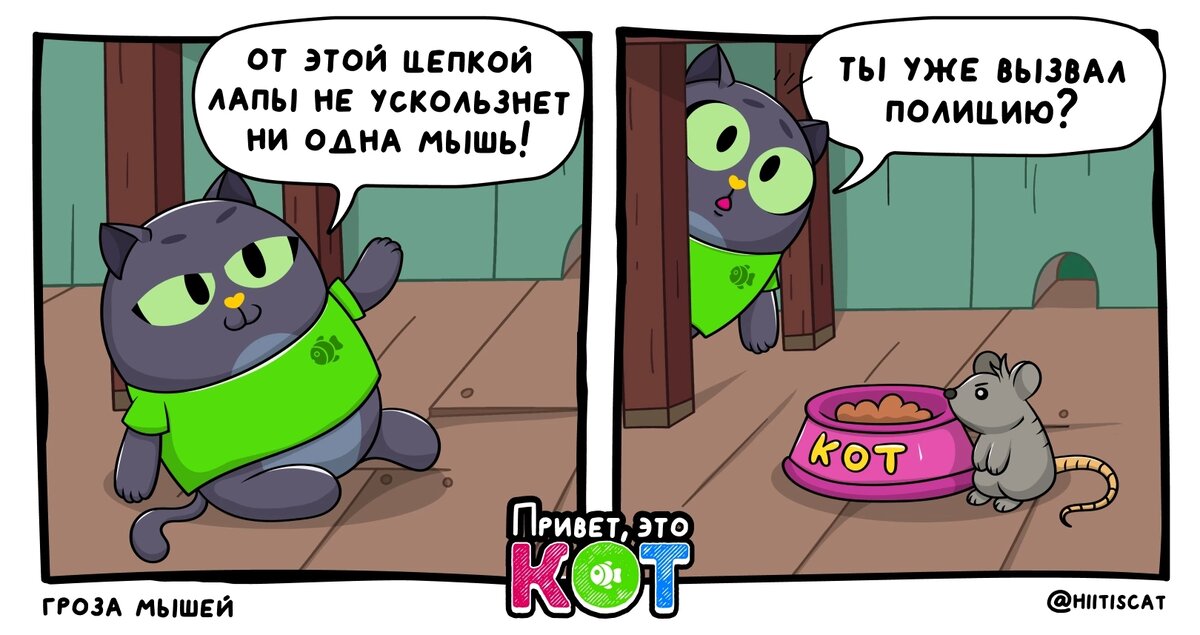 Привет это кот