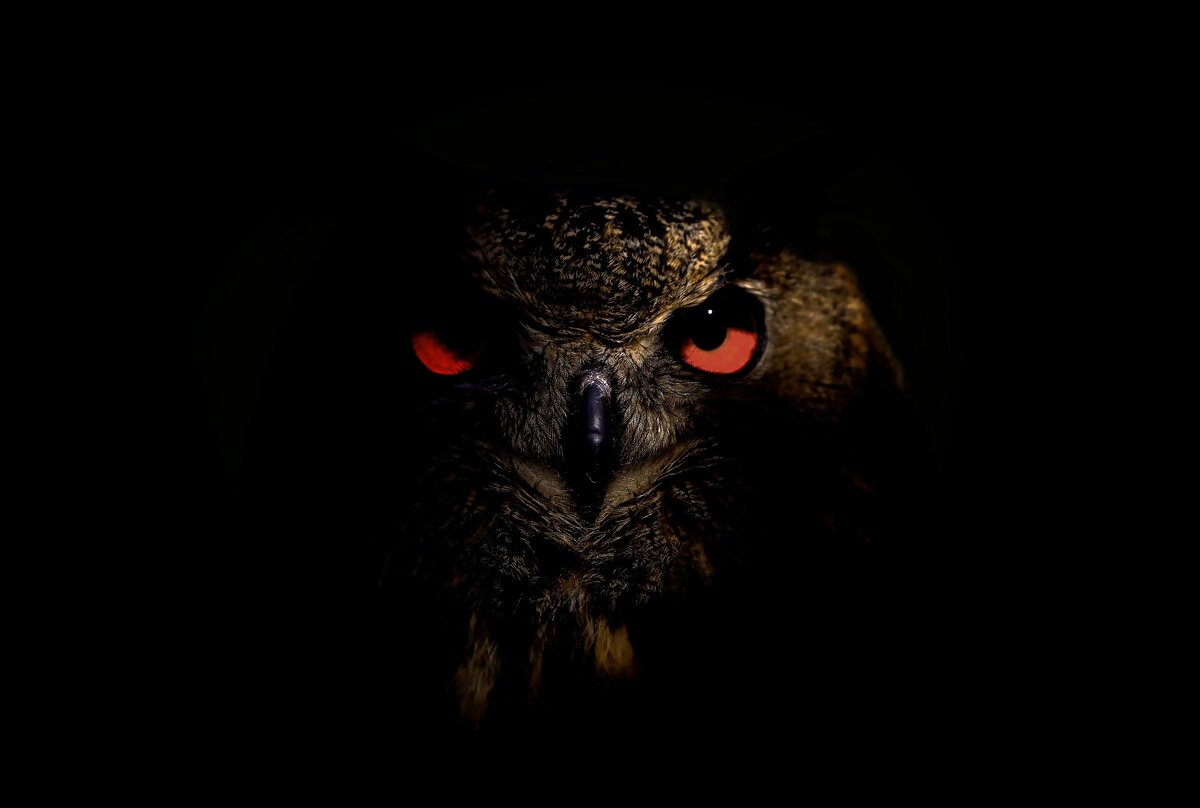 Фото из интернета