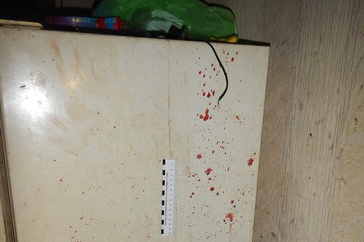 © СУ СКР по Новосибирской области.📷
