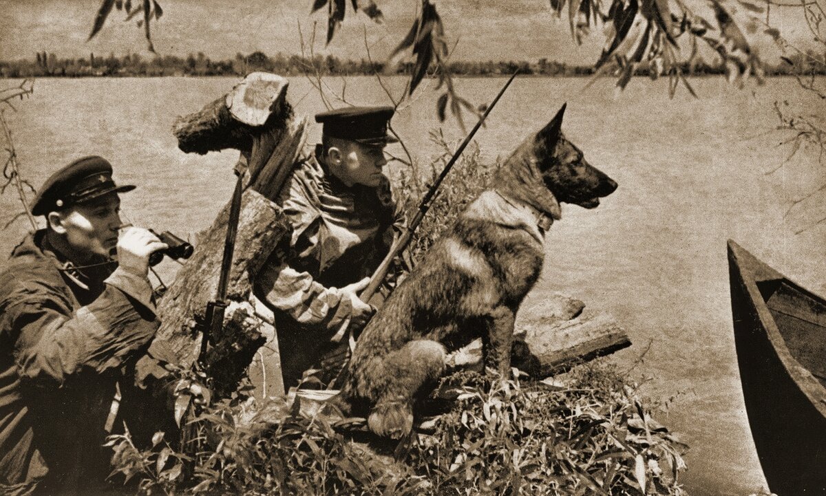 Вилково, Одесская область, Украина, СССР, 20.06.1941 Георгий Зельма