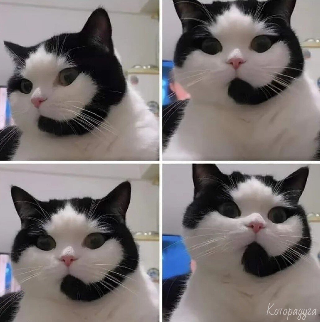 Источник: vk.com