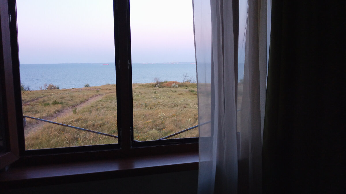 Фазан где-то в этой траве.