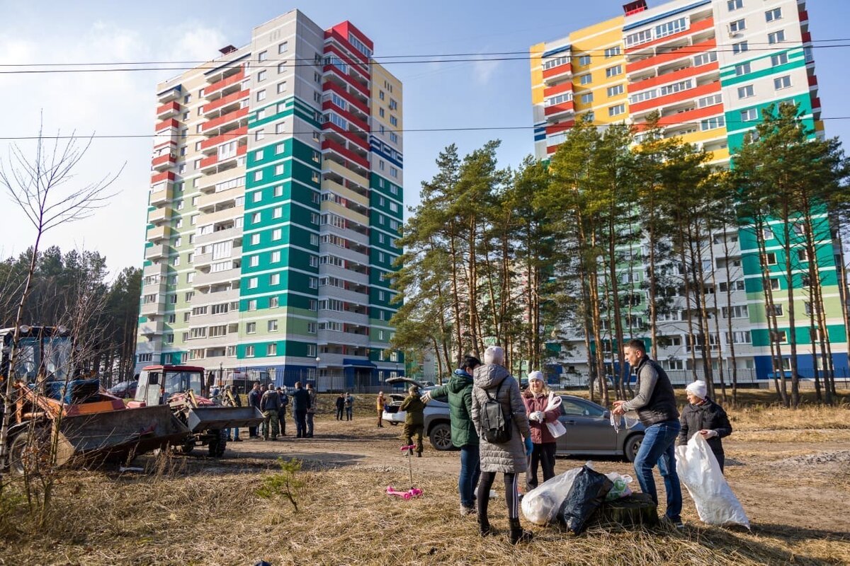    Готовы лечь под бульдозер: жители микрорайона «Сосновый бор» в Брянске возмущены начавшейся под боком вырубкой красивого леса avchernov