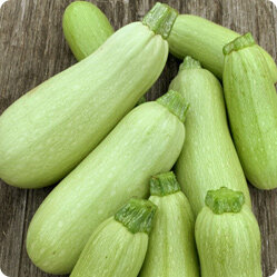 Какие кабачки посеять в июне: виды, сорта, посев и уход.