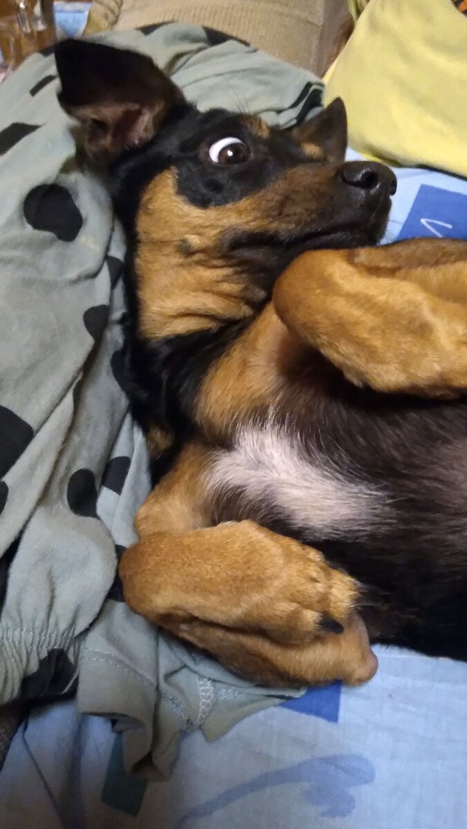 миллион просмотров? Не может быть!