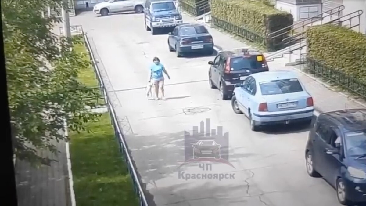     В Свердловском районе Красноярска жительница тянула кота за лапы и несколько раз ударила.