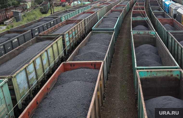    Мигрантов, обнаруженных в вагоне курганскими пограничниками, отправили в колонию