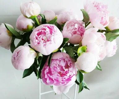 Картинка из источника в свободном доступе.