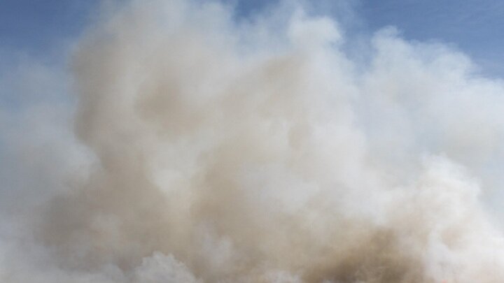 ФОТО: FLPA/WAYNE HUTCHINSON/GLOBALLOOKPRESS 