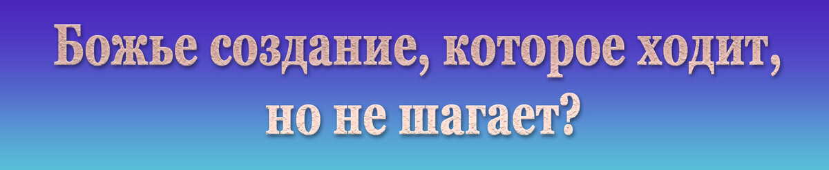 � ����� (���, �����) � ���� ������ �� �������� �����, ������������ ������ ������� ������� � �������� ������� ���, ��� ������� �������.-6