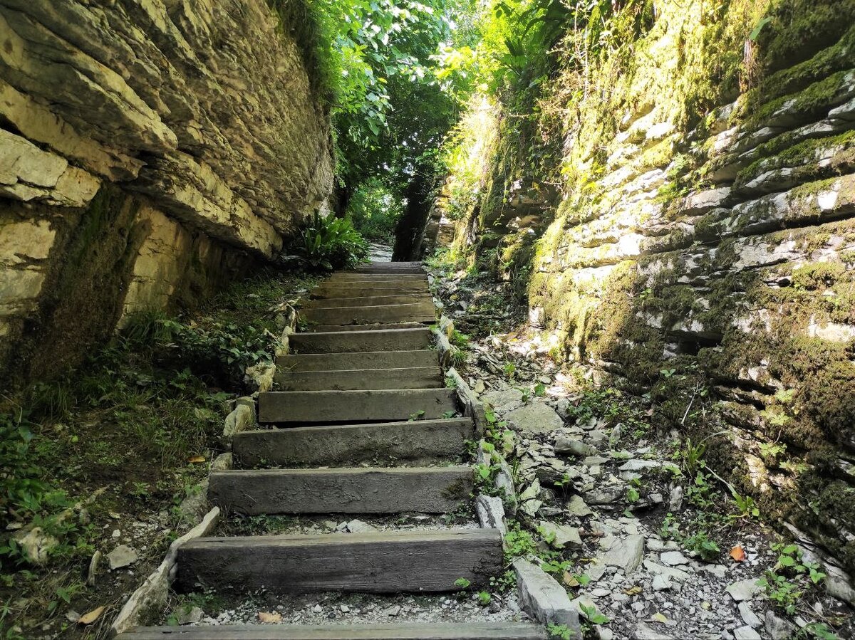 Начало Лабиринта в Тисо-Самшитовой роще, об этом будет видео..