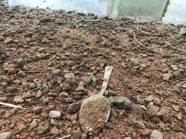    Что обитает на дне океана: подборка находок со дна пруда в парке имени Кирова