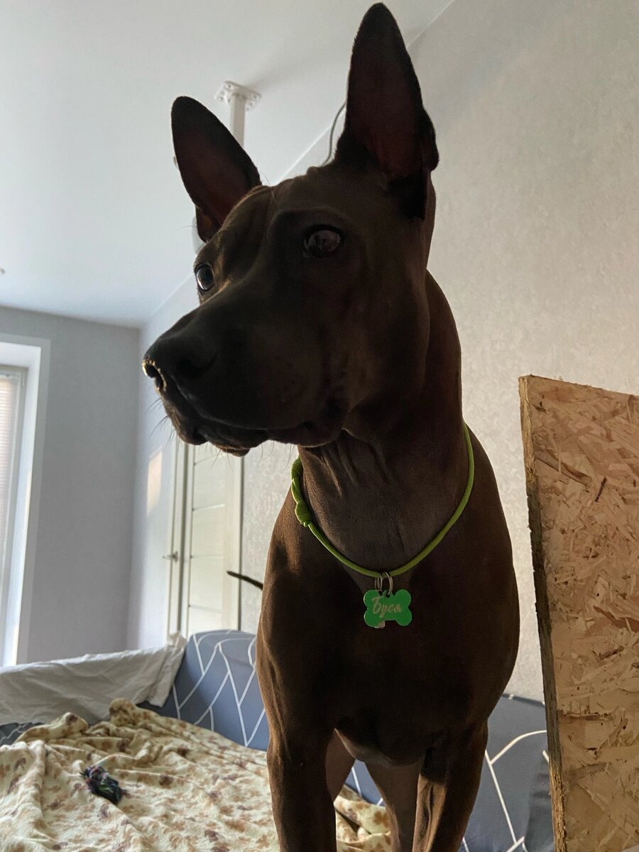 Фото автора. 