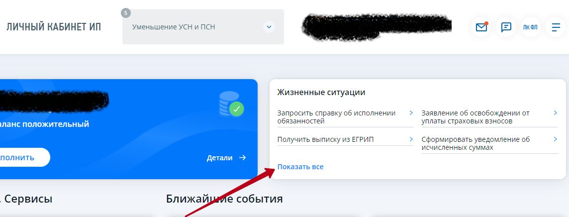 Главная страница личного кабинета ИП