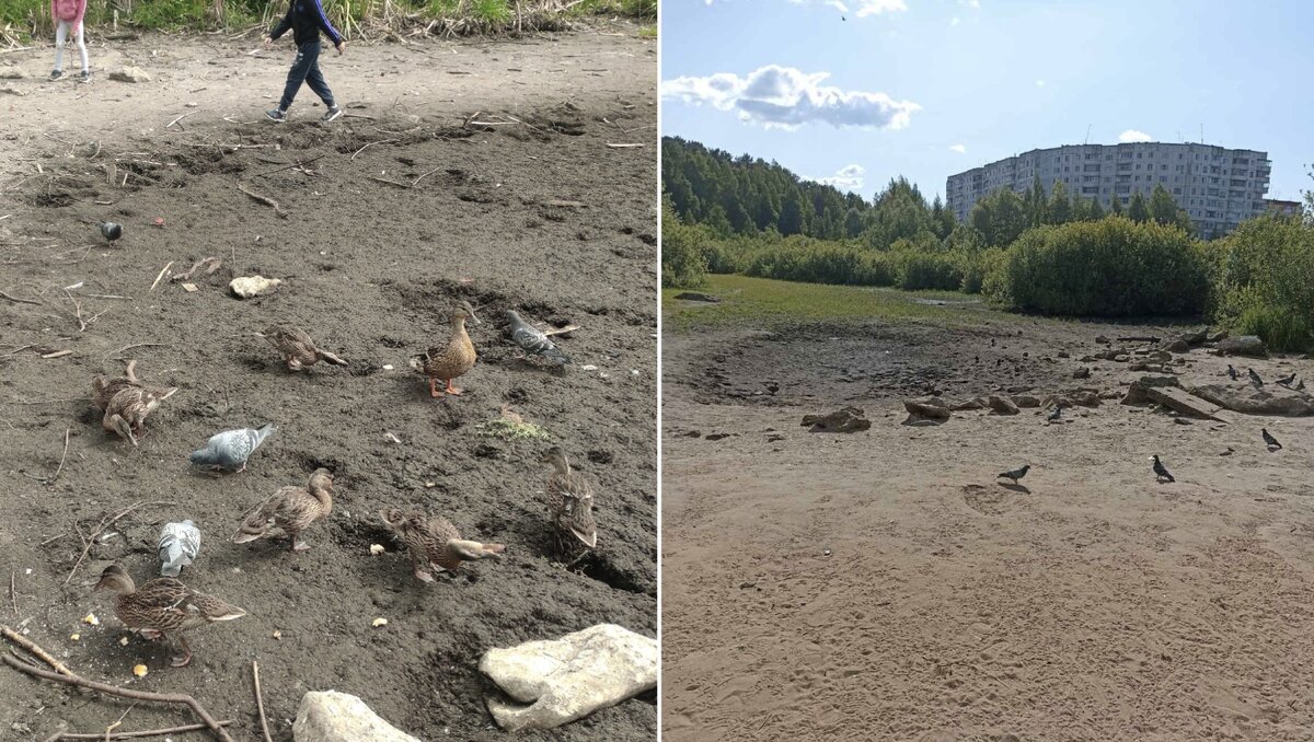     Количество осадков в Перми за последние пару месяцев остается в несколько раз ниже нормы.