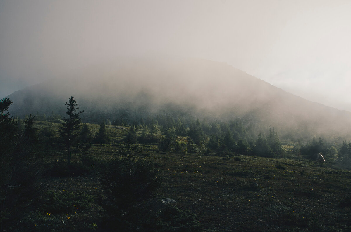 Хребет покрытый сосновым лесом врезается. Туман aesthetic. Mist Fog aesthetic. Fog Core aesthetic Wallpaper. Aesthetics of the Urals with Pines.