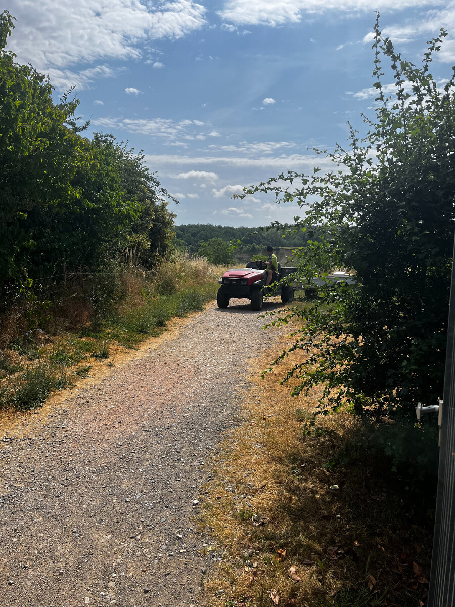 Кто будет в тех краях - советую. Хороший водитель и собеседник - 5 звезд ему.