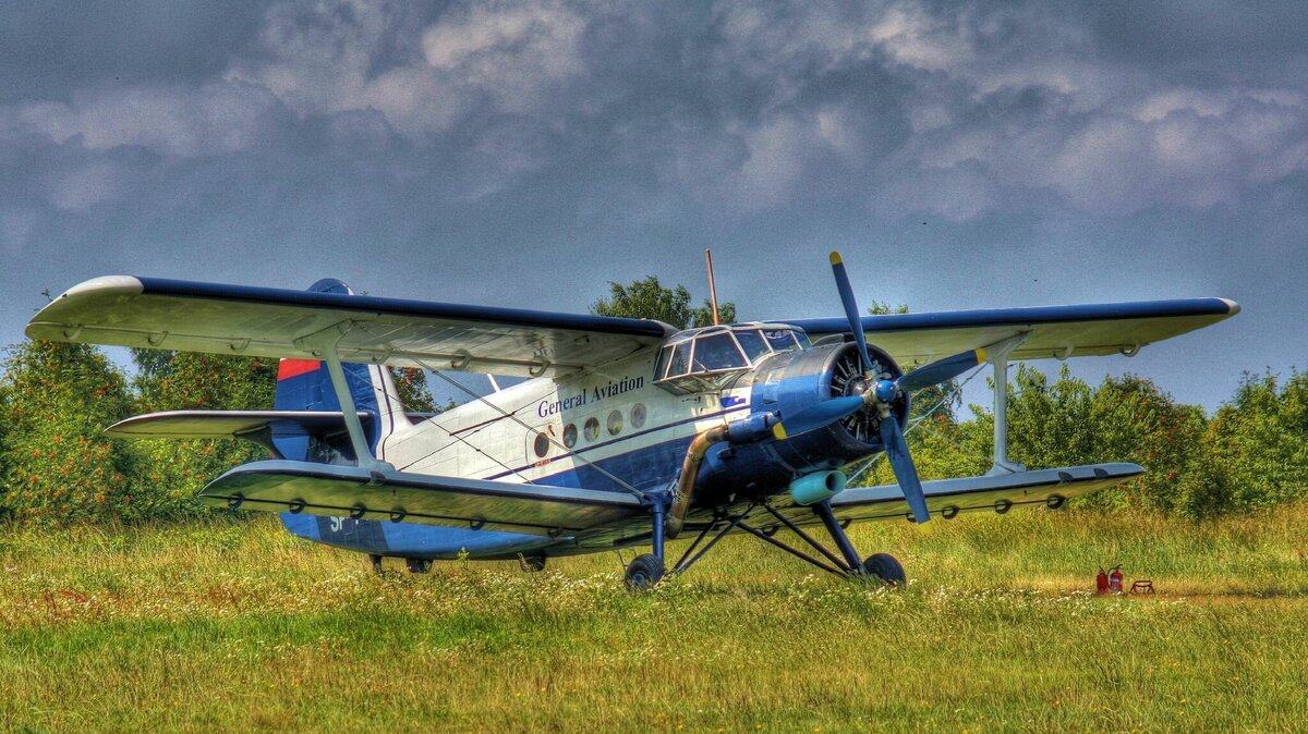 Летать охота! Картинка из открытых источников