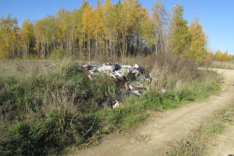    Кладбище находится недалеко от деревни Тябунино в Череповецком районе. Металлический бункер на восемь кубометров вывезли на грузовике.