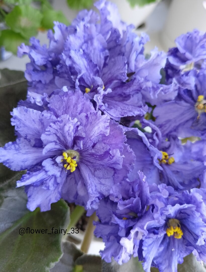 Вот такой прекрасный сортик)