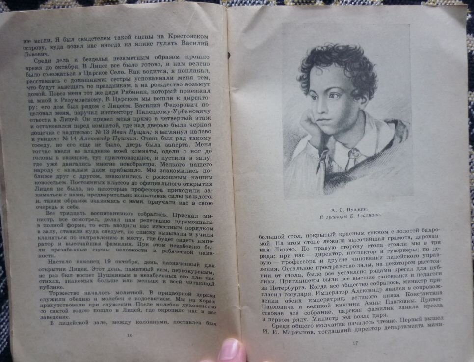 Пущин записки о пушкине. Пушкин книга коричневая.