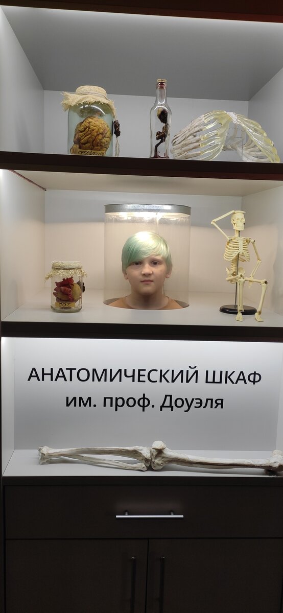 Забавные фотозоны перед входом