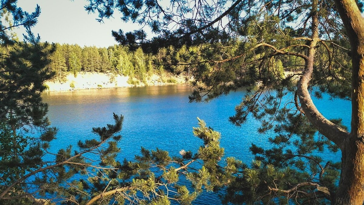     Несмотря на периодически сильные осадки в Приморье ситуация на водоёмах региона остаётся достаточно стабильной. Локальные дожди вызывают подъем воды только на 1-30 см. Однако впереди ожидаются ещё осадки — что же ждёт жителей края?