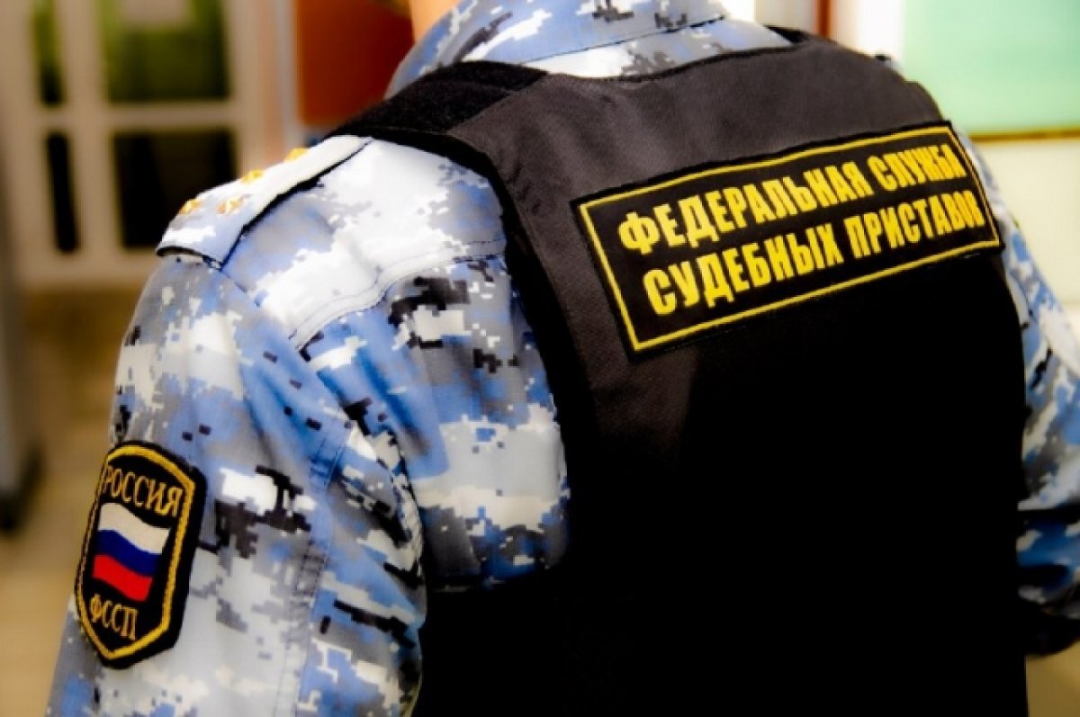    Омский пчеловод взыскал с КФХ 800 тыс. руб. за погубленную пасеку