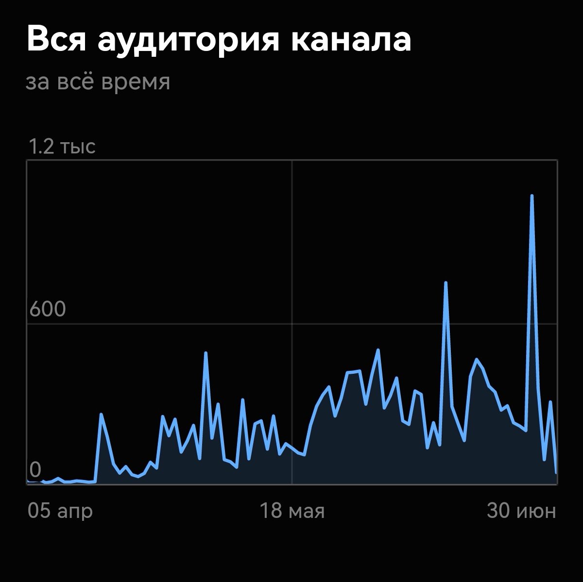 Аудитория растёт. Фото автора