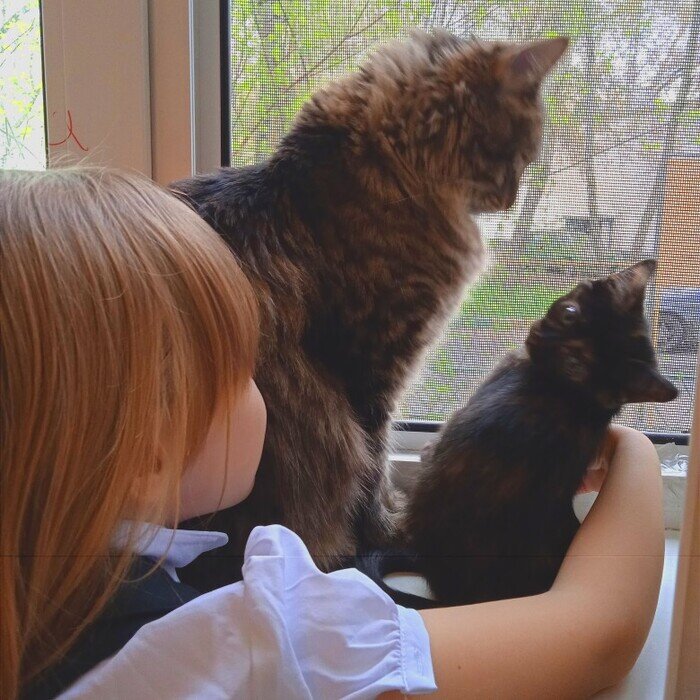 Листайте вправо, чтобы увидеть больше изображений