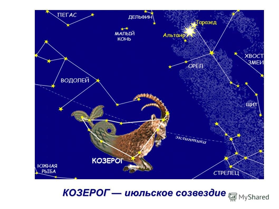 Возможно кого-то удивит, почему Козерог июльское созвездие. Но тут надо знать астрономию. Зимой Солнце в Козероге, то есть это созвездие восходит днем. А вот в июле, когда Солнце в противоположном знаке Рака, созвездие Козерога восходит ночью.  
