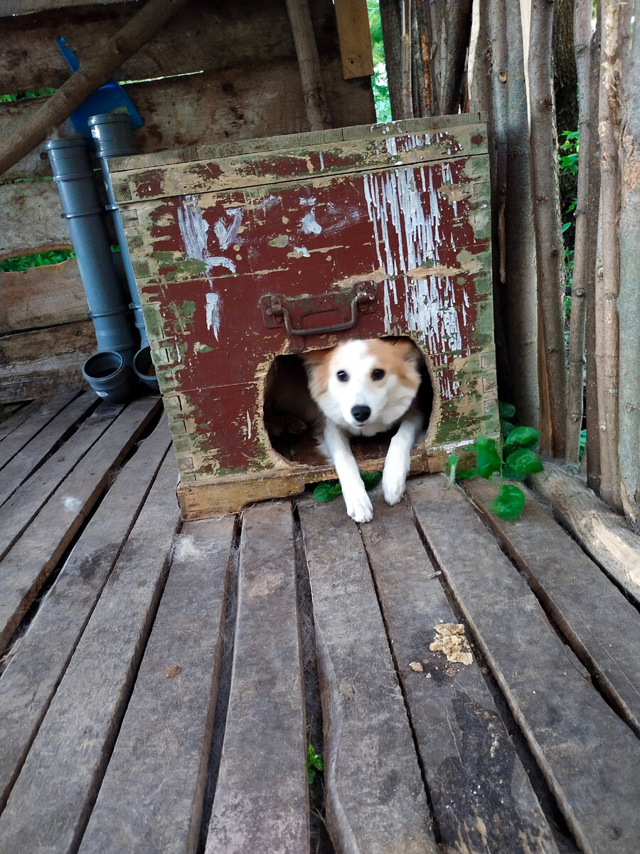 Чего разбудили?