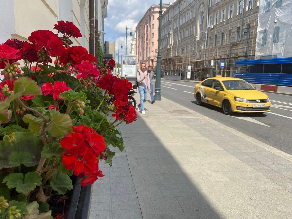 Остоженка. Фото в статье мои