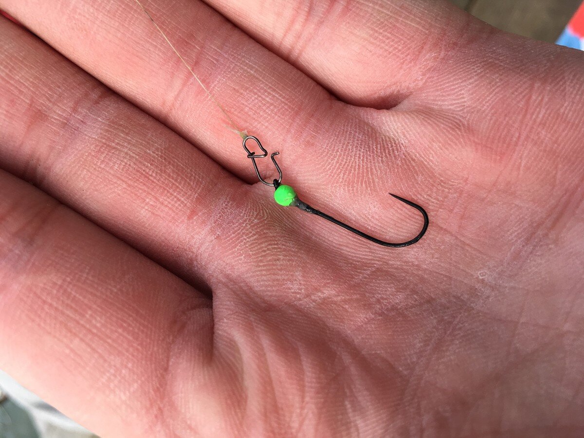 Фото с сайта: https://activefisher.net