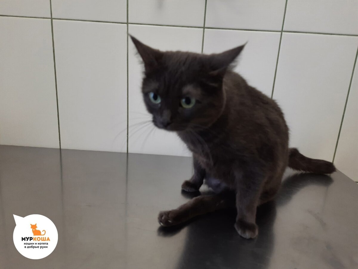 На приеме у врача