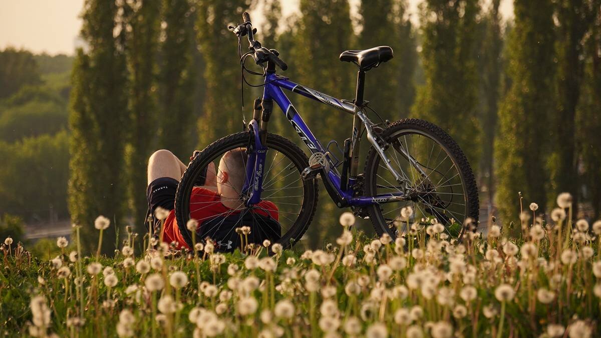    Фото: Анатолий Цымбалюк / Вечерняя Москва