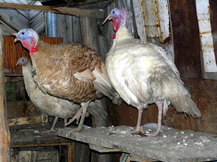    Фото: Андрей Кашкаров, личный архив