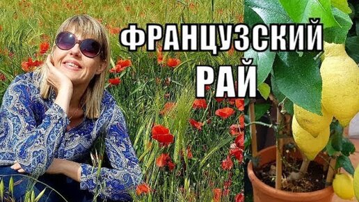 Рай для садоводов: Где Французы покупают рассаду ?