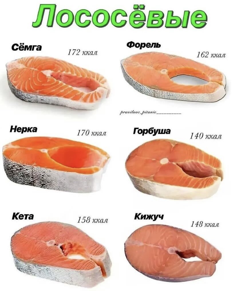 ПОЛЬЗА ЛОСОСЯ заключается в находящихся в его составе следующих природных компонентах:
📌витаминов A, E, D, B6, B12
📌микроэлементов цинка, фосфора, магния, селена, кальция
📌жирных кислот Омега 3, которые являются эффективным средством для борьбы с болезнями сердца, диабетом, артритом и предотвращают образование тромбов.

🍴Красную рыбу рекомендуют употреблять до 3-х раз в неделю, поскольку мясо лосося обладает следующими полезными качествами:
* Снижает холестерин
* Нормализует давление
* Повышает эластичность сосудов
* Оказывает успокоительный эффект на   нервную систему и психическое здоровье
* Поддерживает гормональную и иммунную систему

❌ ПРОТИВОПОКАЗАНИЯ ❌

Вред от красной рыбы не значителен, он больше относится к конкретным блюдам, которые из неё ГОТОВЯТ:
❌Во время копчения или жарки, продукт приобретает некоторые токсические вещества, которые могут навредить детям и людям, страдающим желудочно-кишечными заболеваниями.
❌Рыба, приготовленная на гриле, имеет повышенную жирность, что плохо влияет на больную печень, желчный пузырь и поджелудочную железу.
❌Лосось пригоден для сырого употребления, но следует не забывать об опасности заражения гельминтами.

✅САМЫЕ БЕЗОПАСНЫЕ СПОСОБЫ ПРИГОТОВЛЕНИЯ✅

- запекание в духовке
- ﻿﻿на пару
- ﻿﻿тушение
- ﻿﻿варка

Если Вам нравится такая тематика, ставьте👍🏻 в комментариях, буду делиться с вами чаще ❤️
