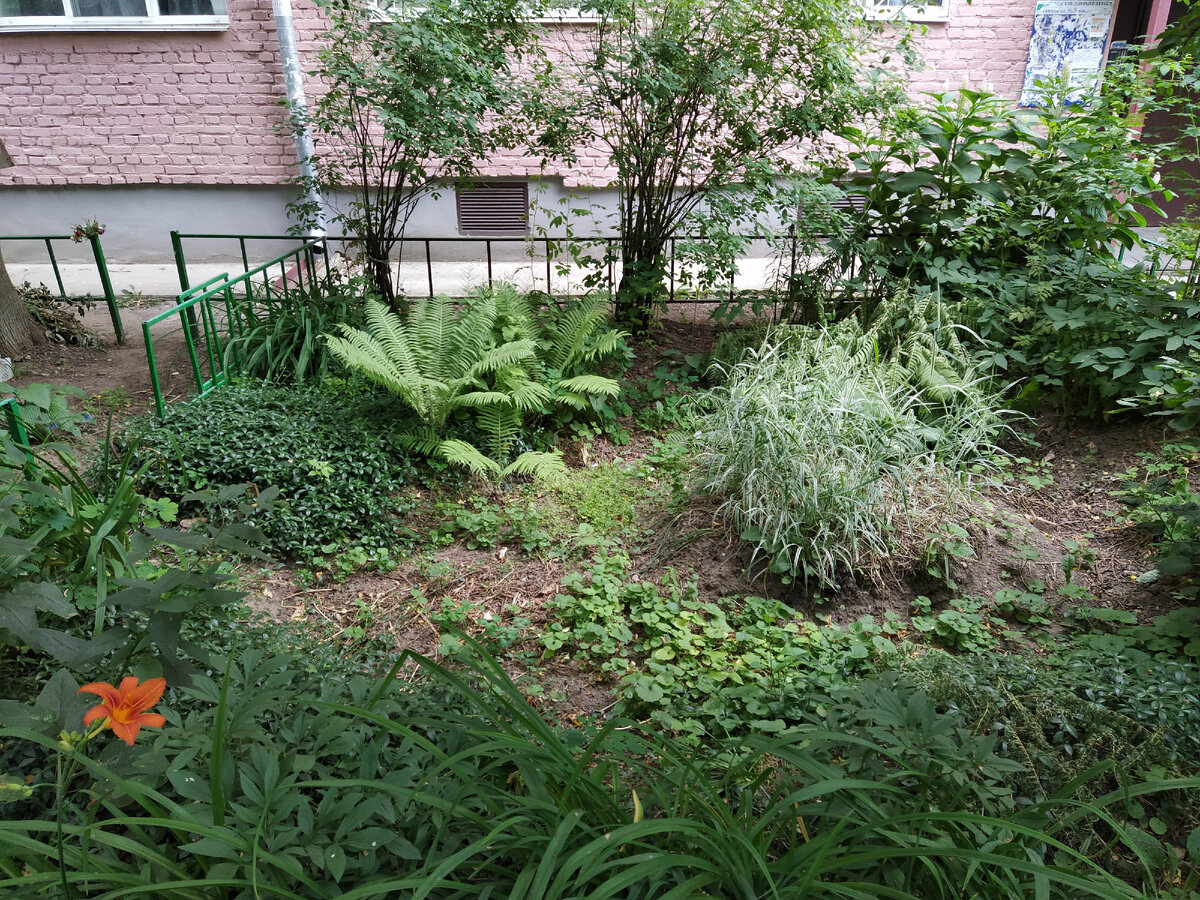 Палисадник № 2. Листайте