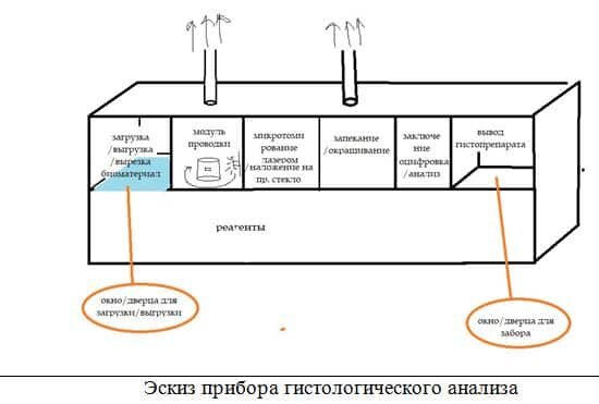   ©Пресс-служба Пермского Политеха